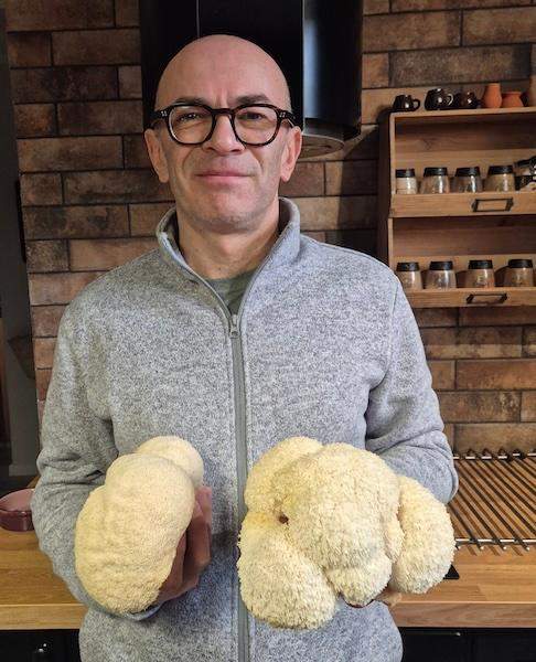 Soplówka Naturalia Lions Mane