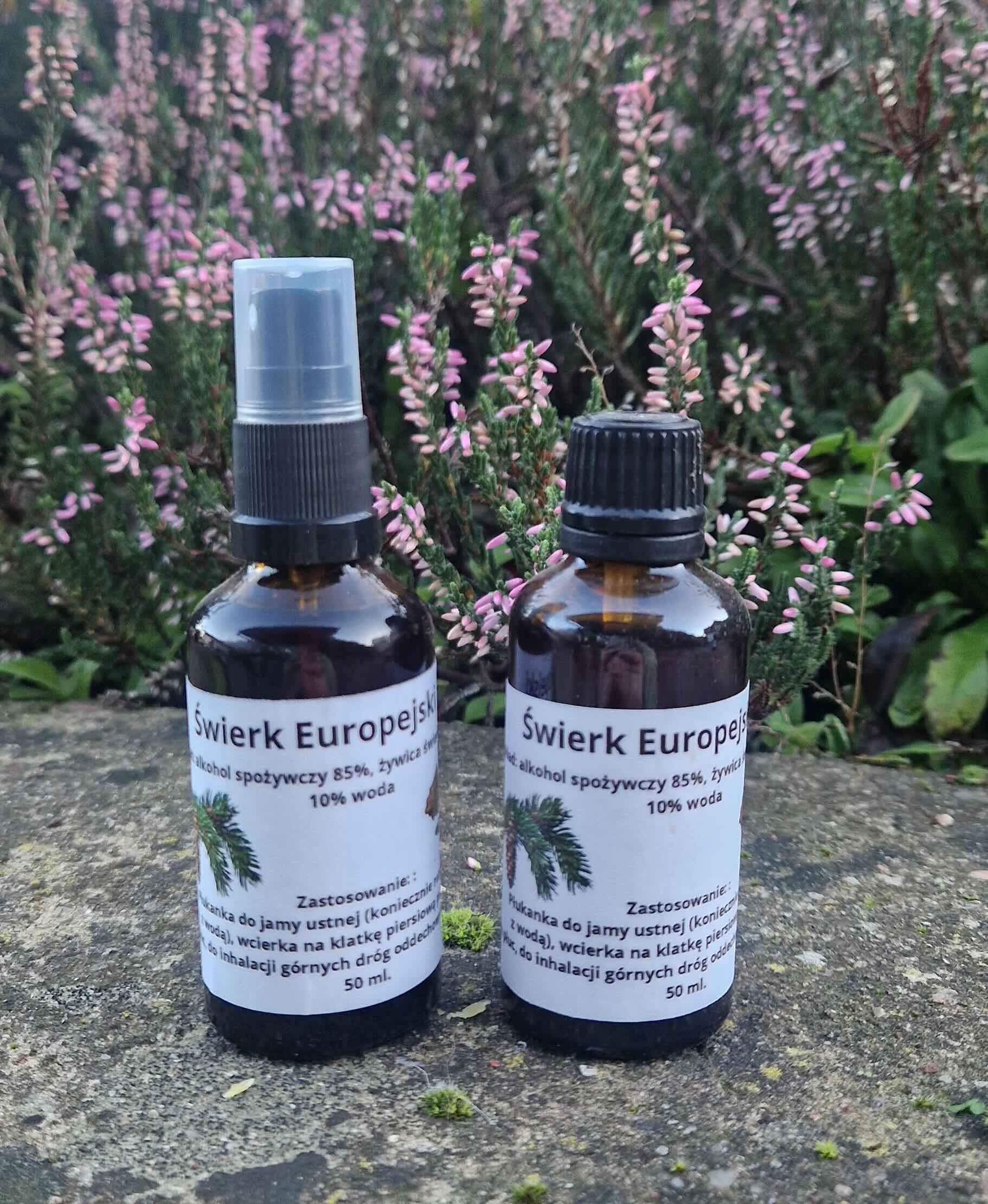 Krople z żywicy świerka 